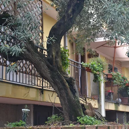 B&B La Meridiana * Zafferana Etnea